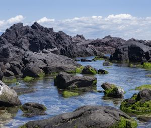 Preview wallpaper rocks, water, moss, sea, shore