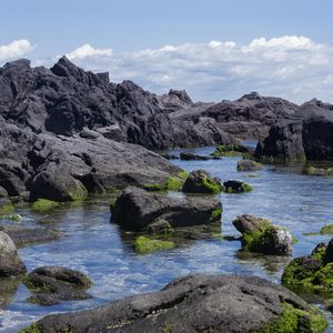 Preview wallpaper rocks, water, moss, sea, shore