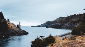 Preview wallpaper rocks, water, trees, bushes, stones