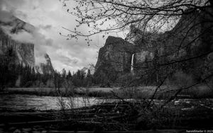 Preview wallpaper rocks, waterfall, trees, branches, pond, black and white