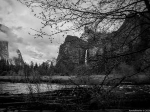 Preview wallpaper rocks, waterfall, trees, branches, pond, black and white