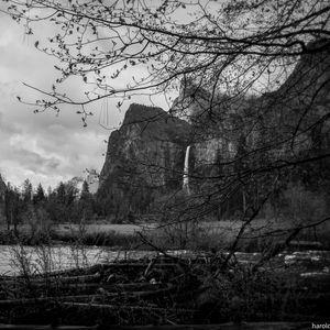 Preview wallpaper rocks, waterfall, trees, branches, pond, black and white