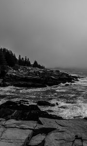 Preview wallpaper rocks, waves, bw, forest