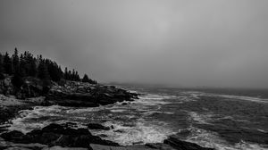 Preview wallpaper rocks, waves, bw, forest