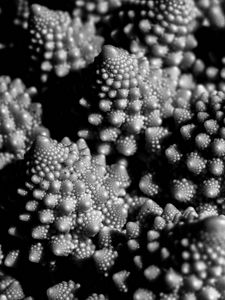 Preview wallpaper romanesco cabbage, fractal, macro, black and white