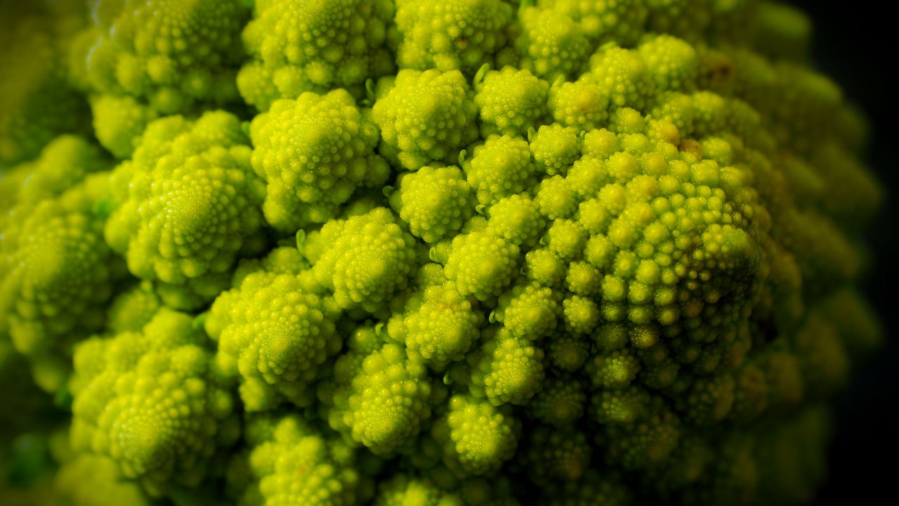 Wallpaper romanesco, fractal, spirals, green