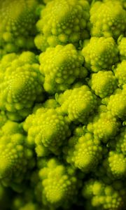 Preview wallpaper romanesco, fractal, spirals, green