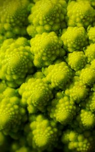 Preview wallpaper romanesco, fractal, spirals, green