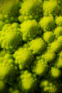 Preview wallpaper romanesco, fractal, spirals, green