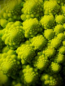 Preview wallpaper romanesco, fractal, spirals, green