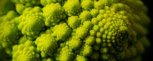 Preview wallpaper romanesco, fractal, spirals, green