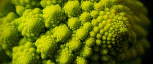 Preview wallpaper romanesco, fractal, spirals, green