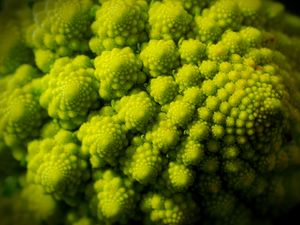 Preview wallpaper romanesco, fractal, spirals, green