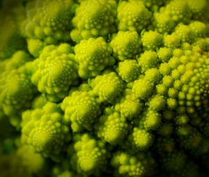 Preview wallpaper romanesco, fractal, spirals, green