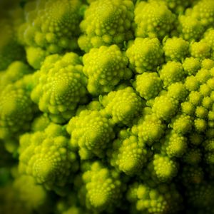 Preview wallpaper romanesco, fractal, spirals, green