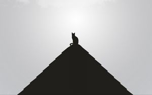 Preview wallpaper roof, cat, black, bw, minimalism