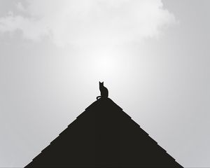 Preview wallpaper roof, cat, black, bw, minimalism