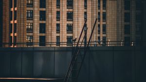 Preview wallpaper roof, stairs, building, dove, bird