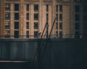 Preview wallpaper roof, stairs, building, dove, bird