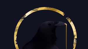 Preview wallpaper rook, bird, circle, art