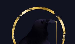 Preview wallpaper rook, bird, circle, art