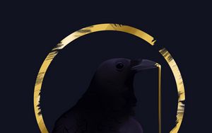 Preview wallpaper rook, bird, circle, art