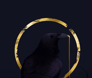 Preview wallpaper rook, bird, circle, art