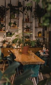 Preview wallpaper room, houseplants, plants, comfort
