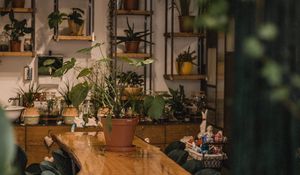Preview wallpaper room, houseplants, plants, comfort