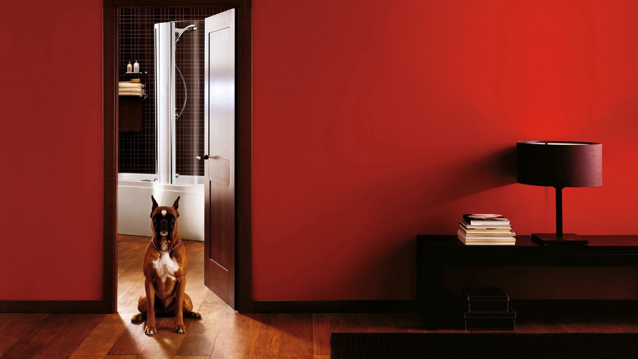 Wallpaper room, interior, dog, door, entrance hall
