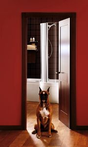 Preview wallpaper room, interior, dog, door, entrance hall