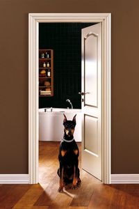 Preview wallpaper room, interior, dog, door, entrance hall