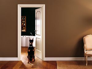 Preview wallpaper room, interior, dog, door, entrance hall