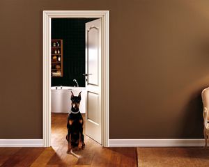 Preview wallpaper room, interior, dog, door, entrance hall