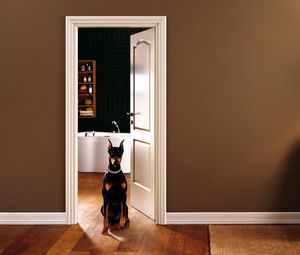 Preview wallpaper room, interior, dog, door, entrance hall