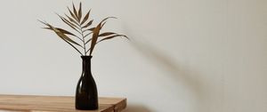 Preview wallpaper room, interior, vase, minimalism