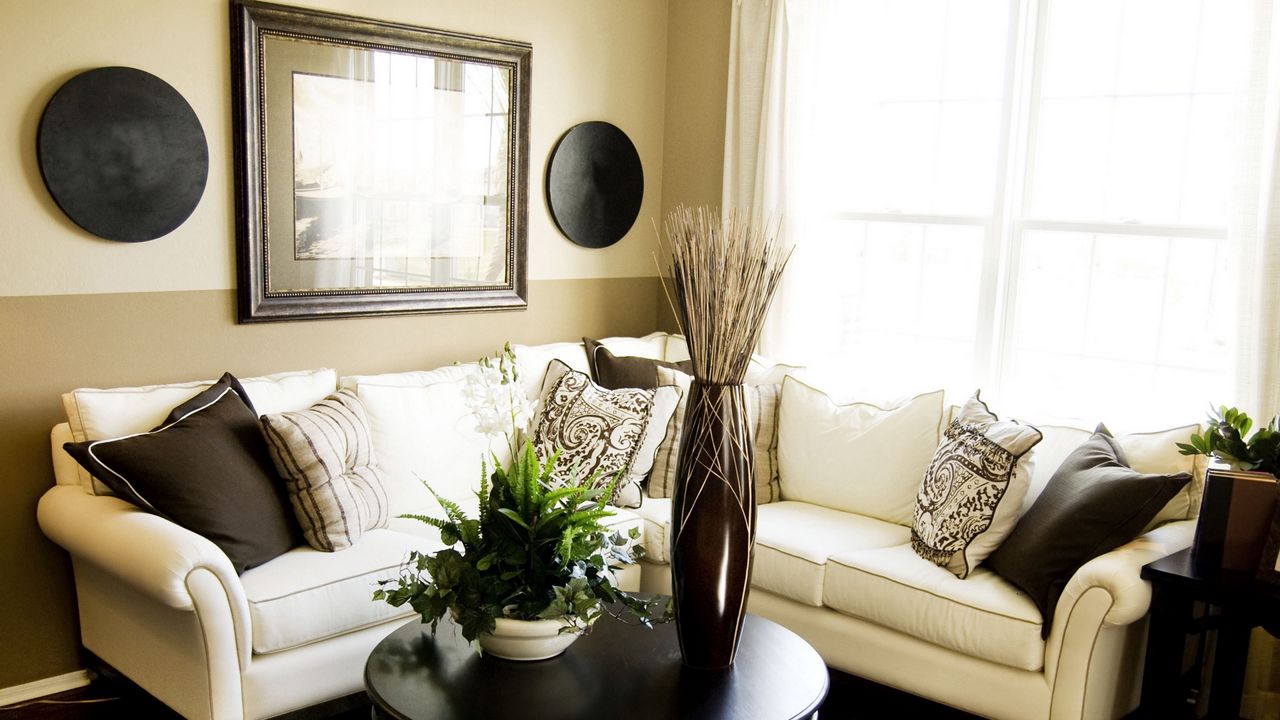 Wallpaper room, plant, vase, furniture, sofa, living room
