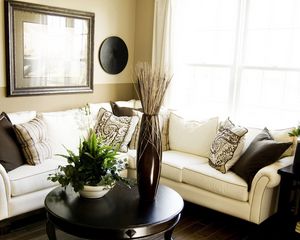 Preview wallpaper room, plant, vase, furniture, sofa, living room