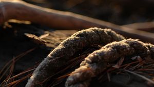 Preview wallpaper rope, close-up, grass, dirt