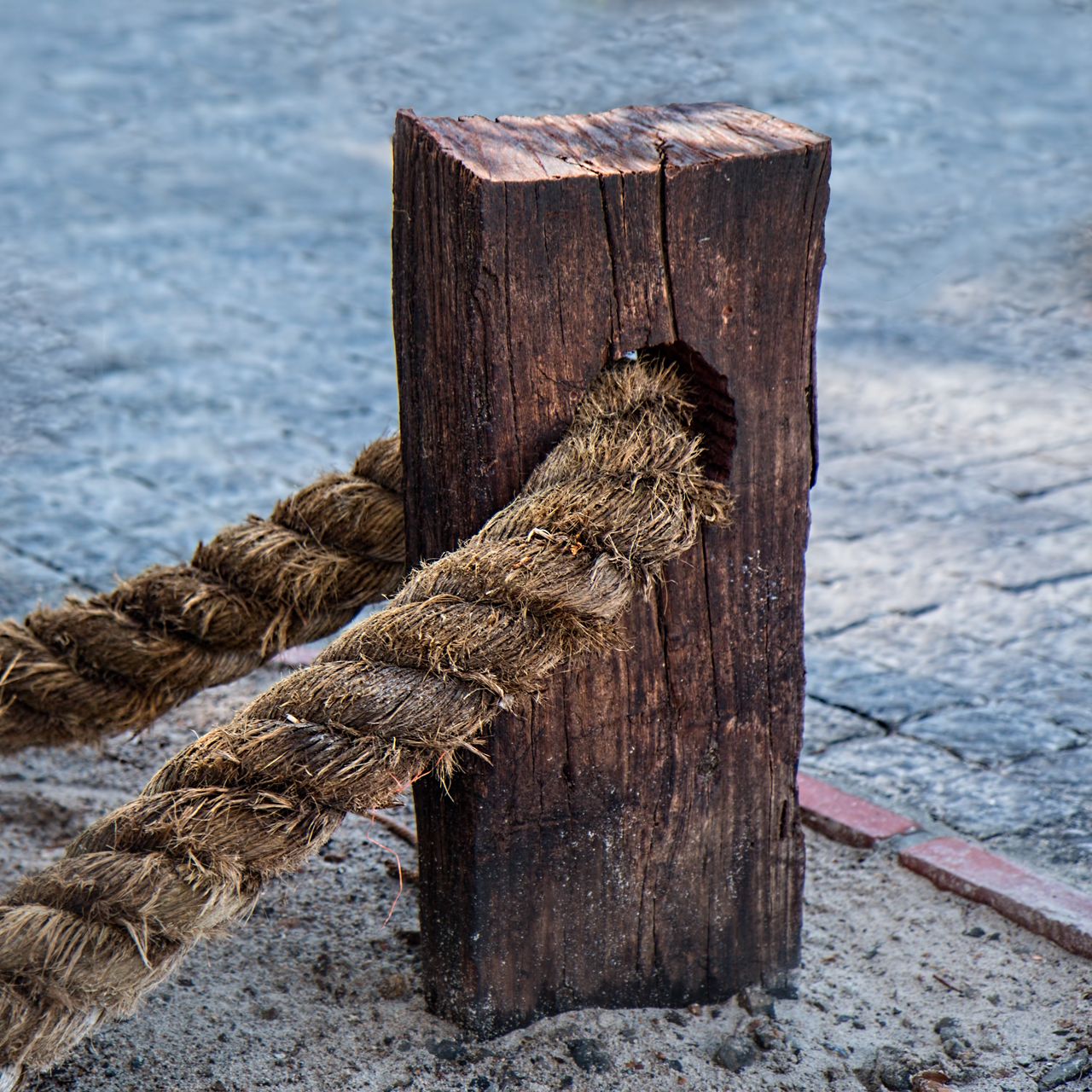 1280x1280 Wallpaper rope, fastening, fibers