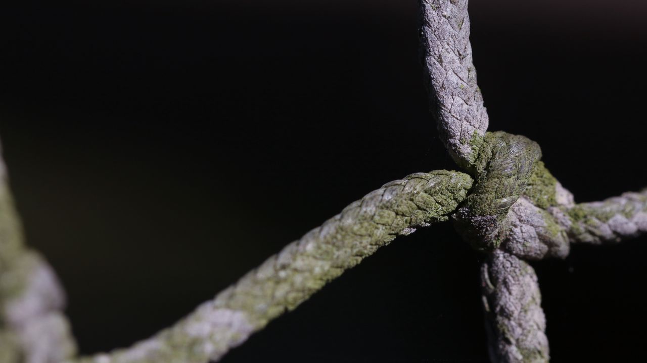 Wallpaper rope, knot, moss