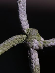 Preview wallpaper rope, knot, moss