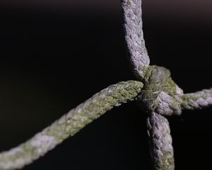 Preview wallpaper rope, knot, moss