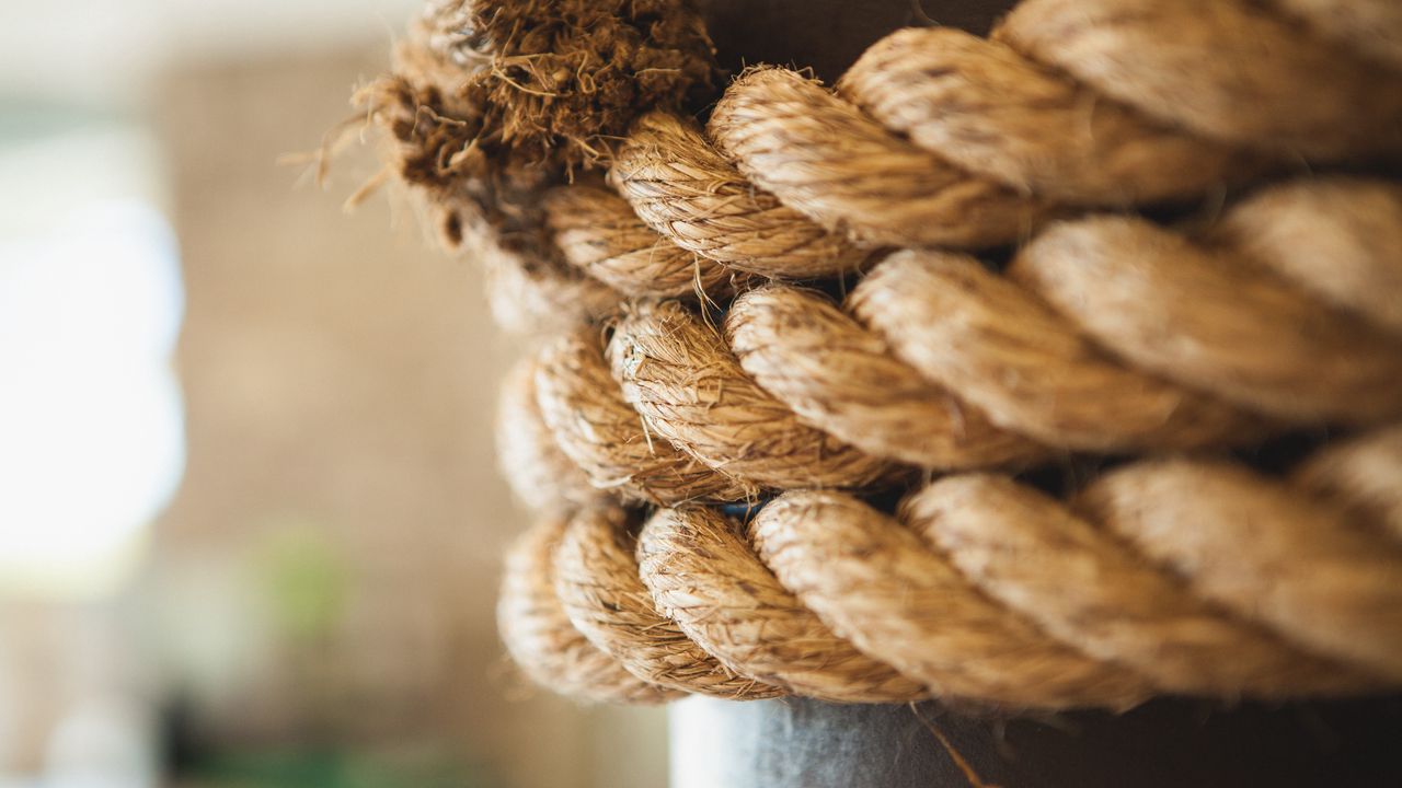 Wallpaper ropes, string, weaving