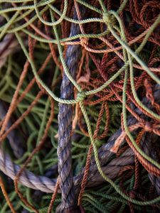 Preview wallpaper ropes, twine, crossing, macro