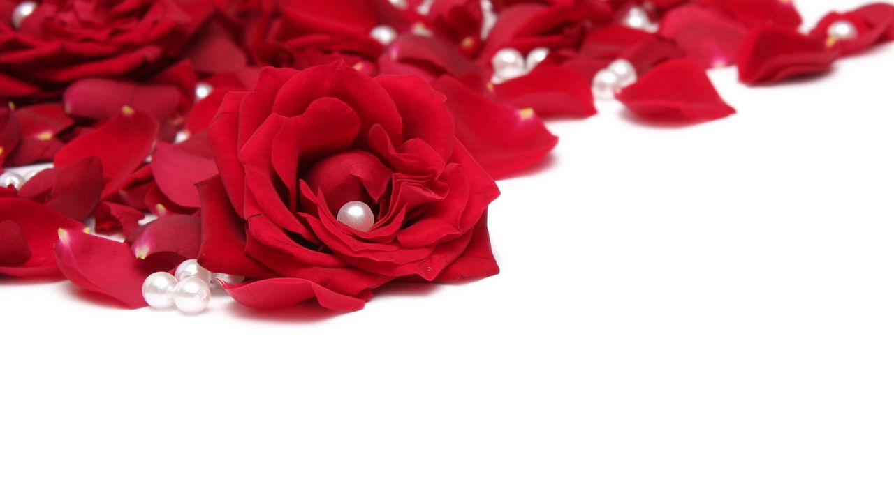 Wallpaper rose, beads, red, white