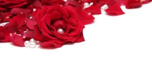 Preview wallpaper rose, beads, red, white