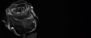 Preview wallpaper rose, black, bud, dark, bw