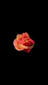 Preview wallpaper rose, bud, darkness, flower, minimalism