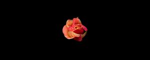 Preview wallpaper rose, bud, darkness, flower, minimalism